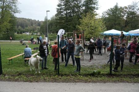 10 Trimmigo, 24102022, foto PEP (62) (Custom)